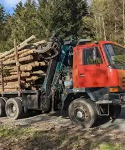 palivové dřevo v kládách a jeho doprava k zákazníkovy
