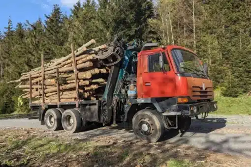 palivové dřevo v kládách a jeho doprava k zákazníkovy